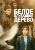 Белое оливковое дерево смотреть онлайн сериал 1 сезон
